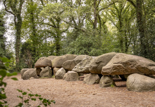 Grote prehistorische stenenstapel in een dicht bos, vermoedelijk een hunebed of grafmonument.