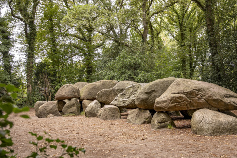 Stenstruktur i en tæt skov, formentlig en gammel gravhøj eller dysse, omgivet af grønne træer.