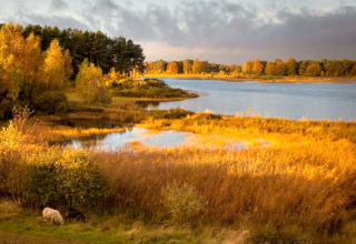 Herfsttafereel met meer en bos vanuit een safaritent bij Holiday park Hunzedal 15, Nederland.
