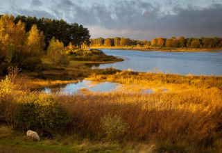 Scenic view of lake and forest in autumn, seen from safari tent at Holiday park Hunzedal 15, Netherlands.