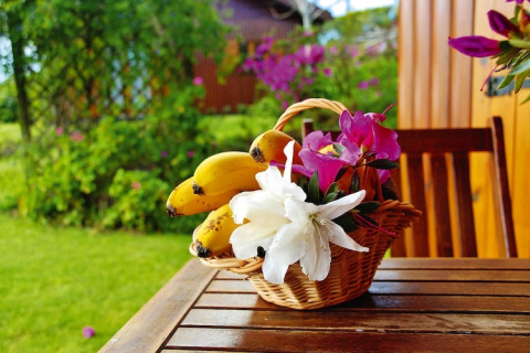 Een rieten mand met bananen en bloemen staat op een houten tafel buiten bij een lodge met groene tuin.