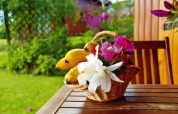 Un cesto di vimini con banane e fiori colorati su un tavolo di legno all’aperto in un lodge in Portogallo.