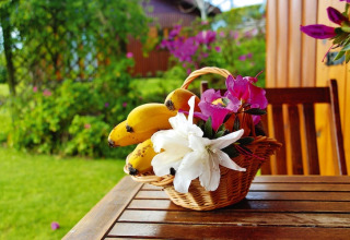 Een rieten mand met bananen en bloemen staat op een houten tafel buiten bij een lodge met groene tuin.