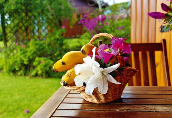 Un cesto di vimini con banane e fiori colorati su un tavolo di legno all’aperto in un lodge in Portogallo.