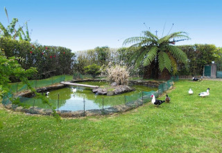Eendenvijver omringd door groen en meerdere eenden bij Quinta dos Curubás, Vila Franca do Campo, Portugal.