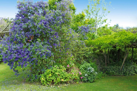Een weelderige tuin met paarse bloeiende struiken en groene bomen bij Quinta dos Curubás in Portugal.