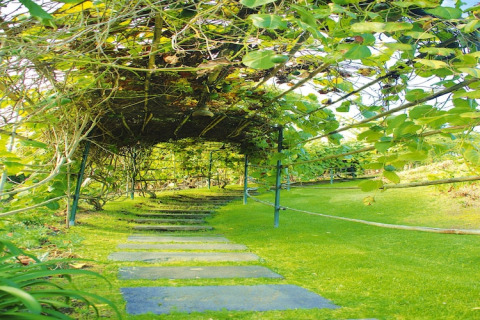 Stenen pad onder een groene pergola bij Holiday Homes Quinta dos Curubás in Portugal.