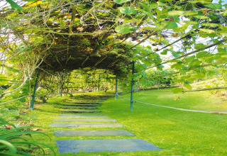 Stenen pad onder een groene pergola bij Holiday Homes Quinta dos Curubás in Portugal.