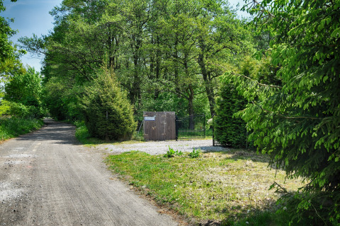 Små grusvej og indgang til 'Cottages ranch by the sea' omgivet af grøn skov i Danmark.