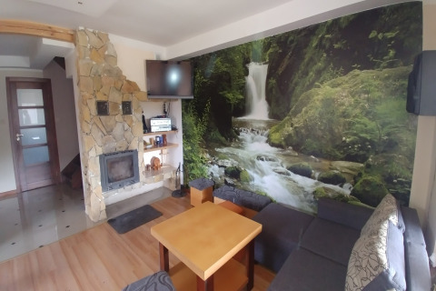 Salon chaleureux avec cheminée en pierre et fresque de cascade, House Gajewo à Podlasie, Suède.
