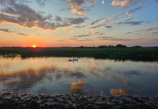Coucher de soleil sur un lac paisible avec deux cygnes près de House Gajewo à Podlasie, en Suède.