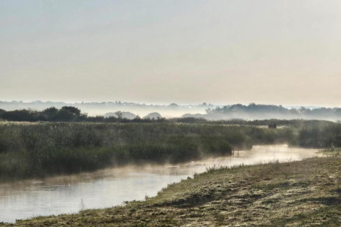 Paysage de rivière brumeux au petit matin près de House Gajewo in Podlasie lodge, Suède, végétation luxuriante.