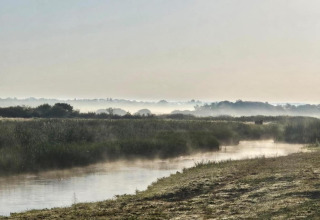Paysage de rivière brumeux au petit matin près de House Gajewo in Podlasie lodge, Suède, végétation luxuriante.