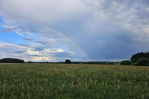 Un arc-en-ciel traverse un ciel nuageux au-dessus d’un champ vert à House Gajewo à Podlasie, Suède.