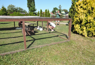 Familie maakt foto's van konijnen in een buitenhok op het gras bij een glampingverblijf in de zon.