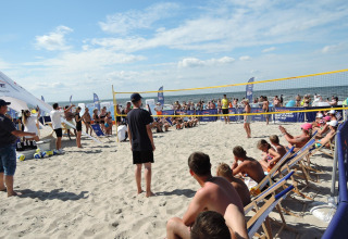 People watch a beach volleyball match by the sea at a glamping site, relaxing in deck chairs under the sun.