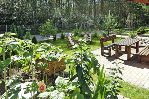 Sunny garden with sun loungers, wooden table and benches on patio, surrounded by lush greenery and trees.
