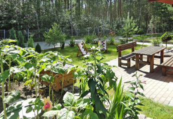 Zonnige tuin met ligstoelen, houten tafel en banken op een terras, omgeven door planten en bomen.