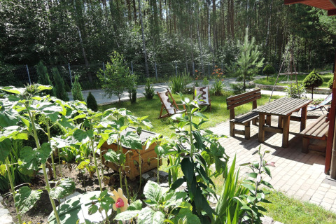 Sunny garden at Holiday resort in Wiselka, Germany, with wooden benches, table, sunflowers and forest view.