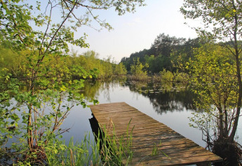 Holzsteg an einem ruhigen See, umgeben von grünen Bäumen, im Ferienresort Wiselka für 5 Personen, Deutschland.