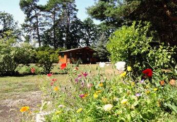 Casa vacanze a Kodrabek, Germania, circondata da fiori di campo colorati e alberi verdi in una giornata di sole.