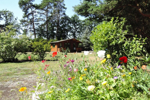 Casa vacanze a Kodrabek, Germania, circondata da fiori di campo colorati e alberi verdi in una giornata di sole.