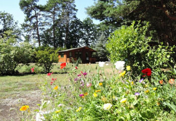 Maison de vacances à Kodrabek, Allemagne, entourée de fleurs sauvages colorées et d’arbres verts, ciel bleu.