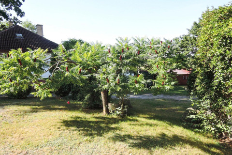 Giardino alberato con bungalow sullo sfondo presso Bungalows Lubin Type A Jolanta in Germania.