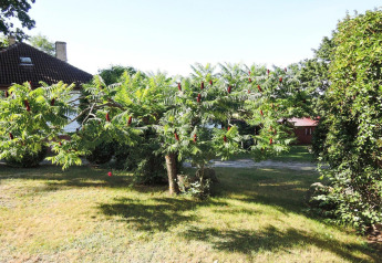 Jardín con árboles y cabañas al fondo en Bungalows Lubin Type A Jolanta, Alemania.