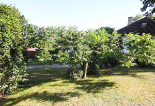 Giardino soleggiato con albero e fiori rossi vicino a Bungalows Lubin Type A Jolanta in Germania.