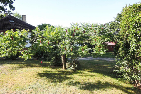 Photo d’un jardin feuillu avec un arbre près d’un bungalow à Bungalows, Lubin-Type B (Henryk), Allemagne.