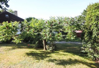 Photo d’un jardin feuillu avec un arbre près d’un bungalow à Bungalows, Lubin-Type B (Henryk), Allemagne.