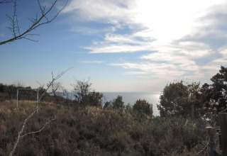View from Bungalows, Lubin-Type B (Henryk) in Germany showing wild grass, trees, and sunlight over the sea.
