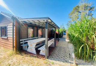 Udendørs terrasse med bord og bænk ved en glampinghytte, omgivet af grønne planter under blå himmel.