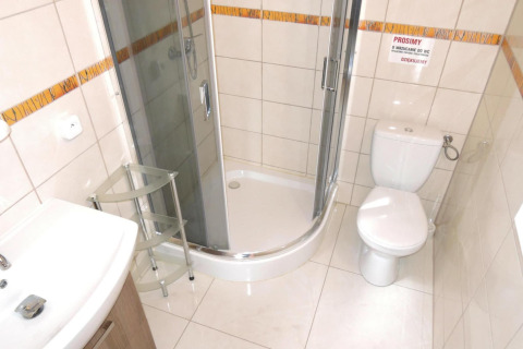 Bright bathroom with corner shower, toilet, sink, and a small shelf, photographed in a cabin setting.