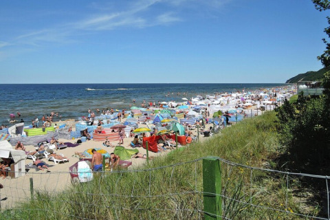 Crowded beach with people under umbrellas and windbreaks, ocean in background, lively summer atmosphere.