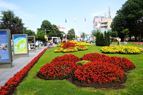 Kleurrijke bloemenperkjes in een stadspark nabij vakantiehuizen in Miedzyzdroje, met mensen op de achtergrond.