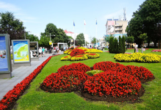 Colorful flower beds in a city park near holiday homes in Miedzyzdroje, surrounded by trees and people walking.