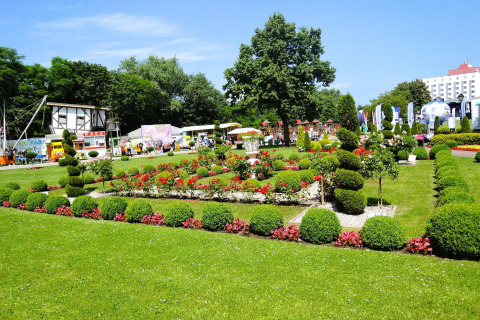 Mooi aangelegde tuin met bloembedden bij vakantiehuizen in Miedzyzdroje voor 4 personen, TYPE A.