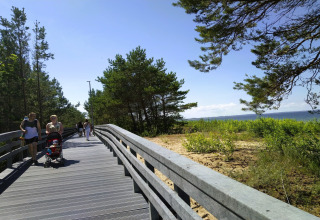 Houten wandelpad aan het strand met mensen, kinderwagen en dennen nabij vakantiehuizen in Miedzyzdroje.