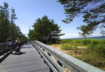 Wooden boardwalk near the beach with people and stroller, surrounded by pines at holiday homes in Miedzyzdroje.