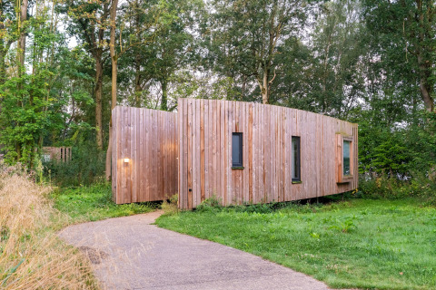 Et moderne glampinghus i træ omgivet af frodige grønne omgivelser og skov, set fra indgangen.