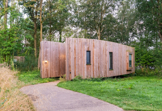 Et moderne glampinghus i træ omgivet af frodige grønne omgivelser og skov, set fra indgangen.