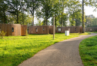 Glampingindkvartering med moderne træhytter i grønne omgivelser på en solrig dag med træer bagved.