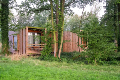 A tiny house called The Lodge by YourNature, nestled in lush green woodland and surrounded by tall trees.