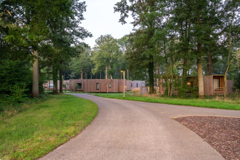 Photo of a cozy tiny house situated along a path in a wooded area surrounded by green nature.