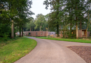 Photo of a cozy tiny house situated along a path in a wooded area surrounded by green nature.