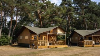 Tienda safari en Wilsumer Berge, Alemania, rodeada de pinos altos y terraza de madera para acampar.