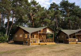 Tienda safari en Wilsumer Berge, Alemania, rodeada de pinos altos y terraza de madera para acampar.