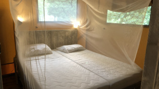 Een slaapkamer in een safaritent met twee enkele bedden, muskietennet en ramen met natuurzicht.